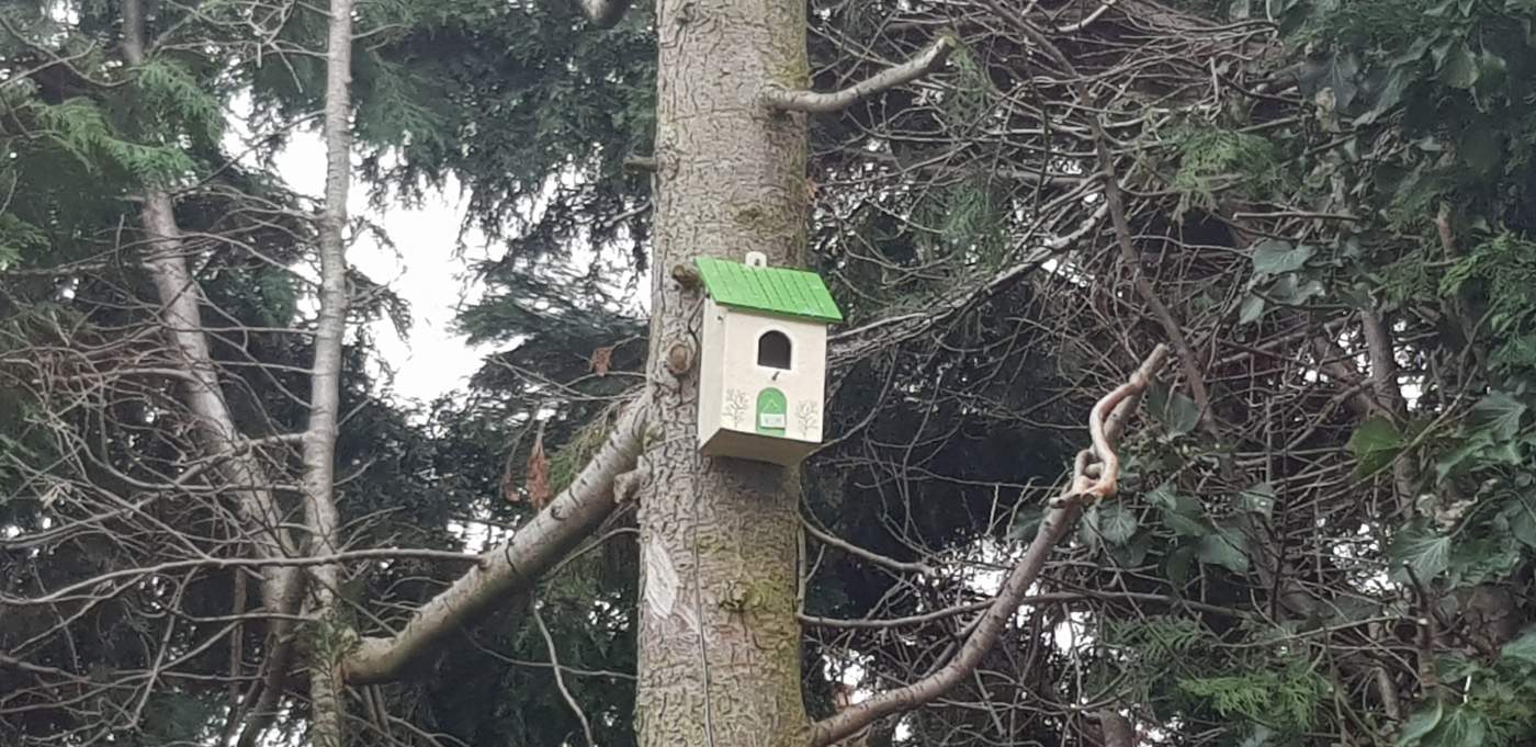 Bird Nesting Box Hayden Kibble